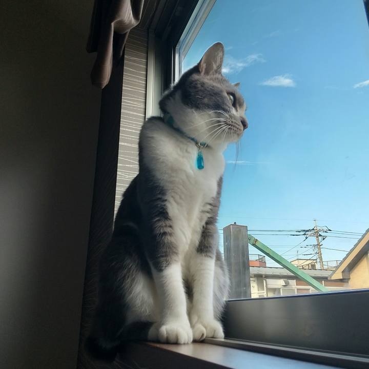 217315b9 2626 43d8 9b52 761bbddf303b 1640394282881