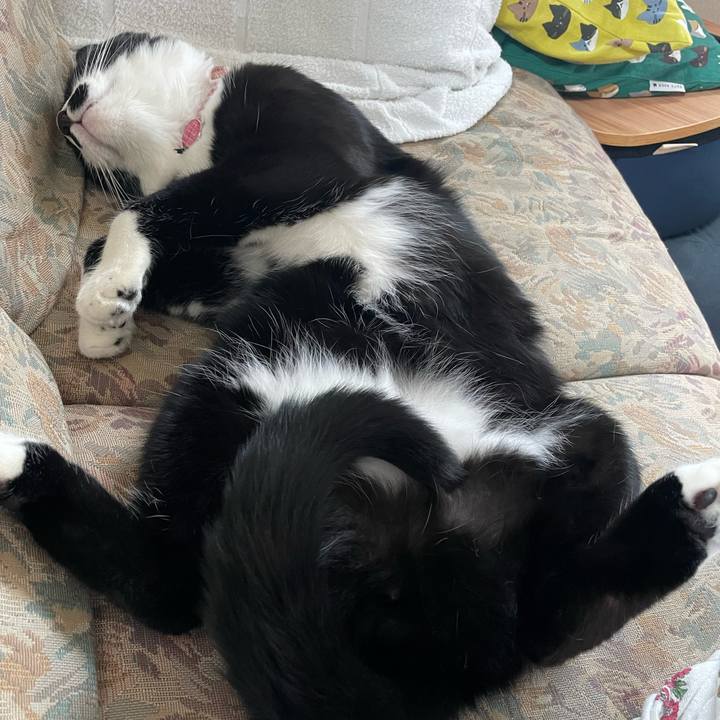 21733ecc 1dbe 405b aa04 ddb4c6cc0b6d 1656917682426