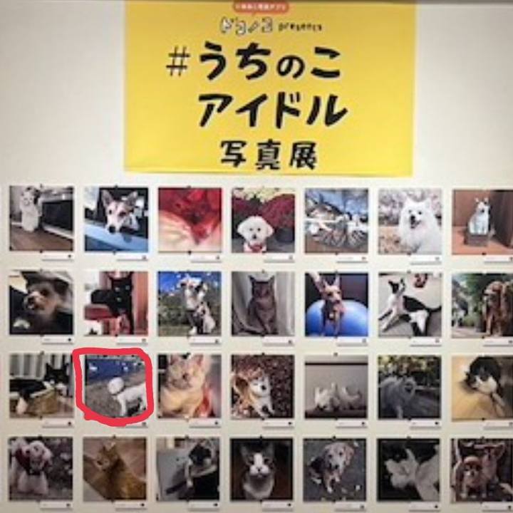 217360bb 8174 4d4c a774 f8d6fc9fc161 1764991180225