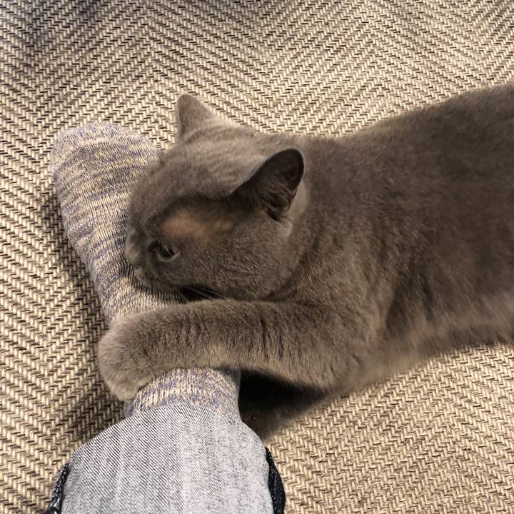 21736b05 e968 4c85 b323 0af144d8fc79 1569325070932