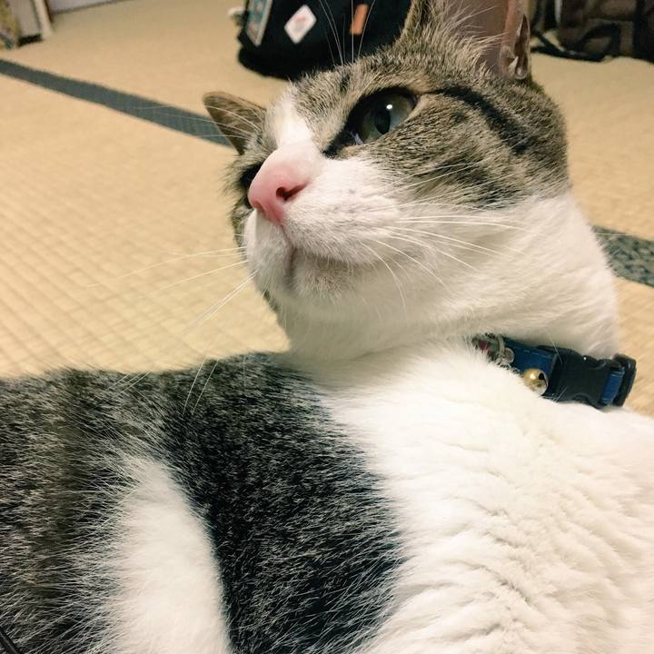 2173ac30 f428 45d4 8ab2 b7d330bb1bf4 1531527436346