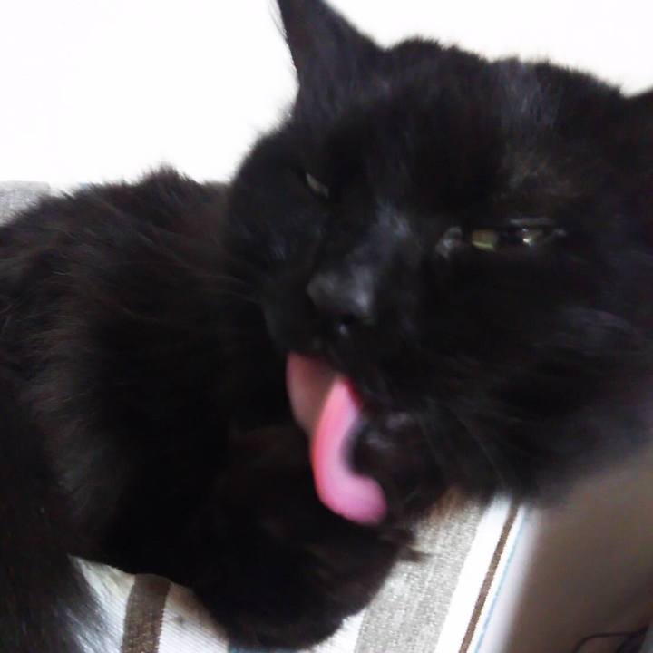 2173b668 6289 49f2 8da6 e5119e6ad8a5 1511952649070