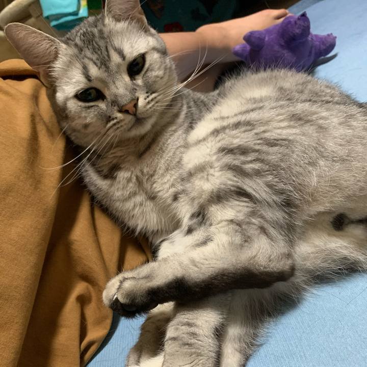 2173caee 30d5 44e6 b5b8 4a2c28faee82 1624801647744