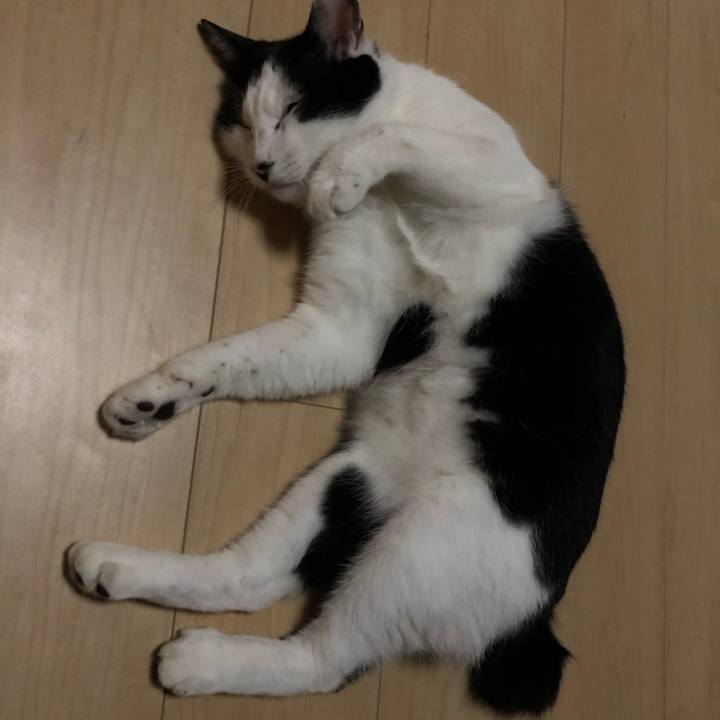 2173d79e caac 48ce 8378 6d79b12291bd 1570021923186