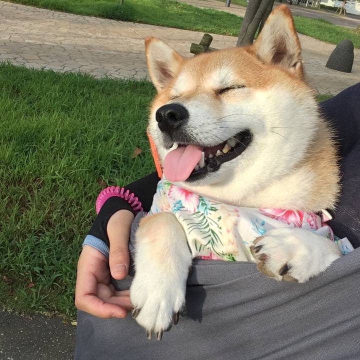 2173fc46 fb4f 4b26 83dd 9716af6aaa76 1566340487822