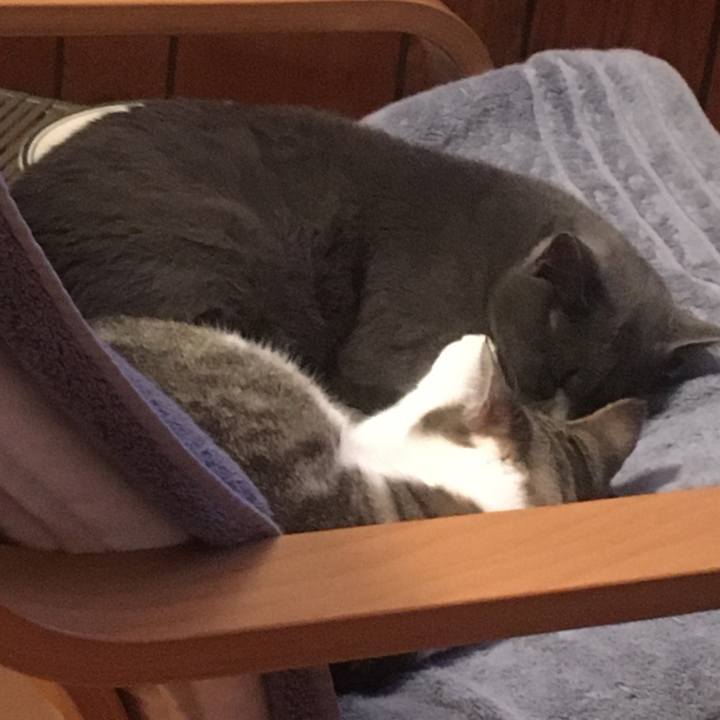 2174087f 4d39 430f 8c58 c62233e3bcd6 1632961998154