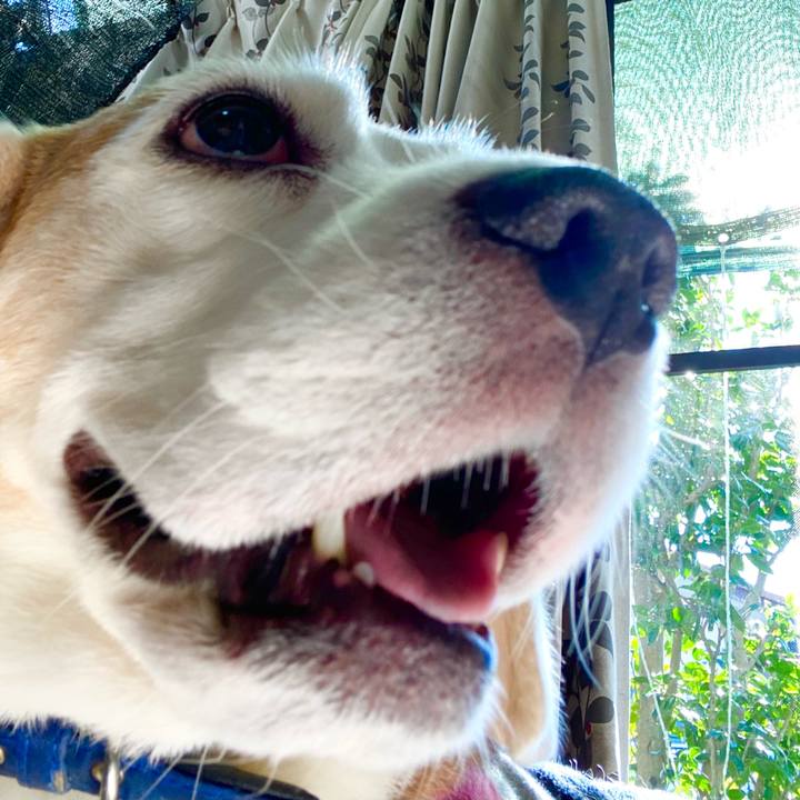 21743a23 975f 4899 85ef 3aa5c3402fdb 1601443737200