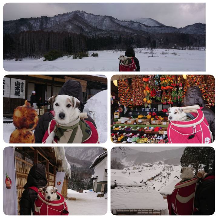 2174724d 36b4 482a 86d9 fa736e8ea90c 1549270049814