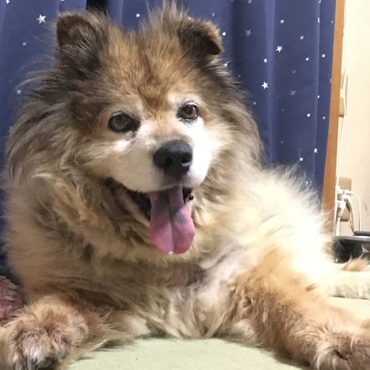 217509b4 8bbc 4c7b b4e0 eb65e78c3810 1622778635803