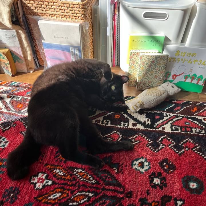 2175667b dac6 4698 84c7 97c3a2f4e73d 1700277893642