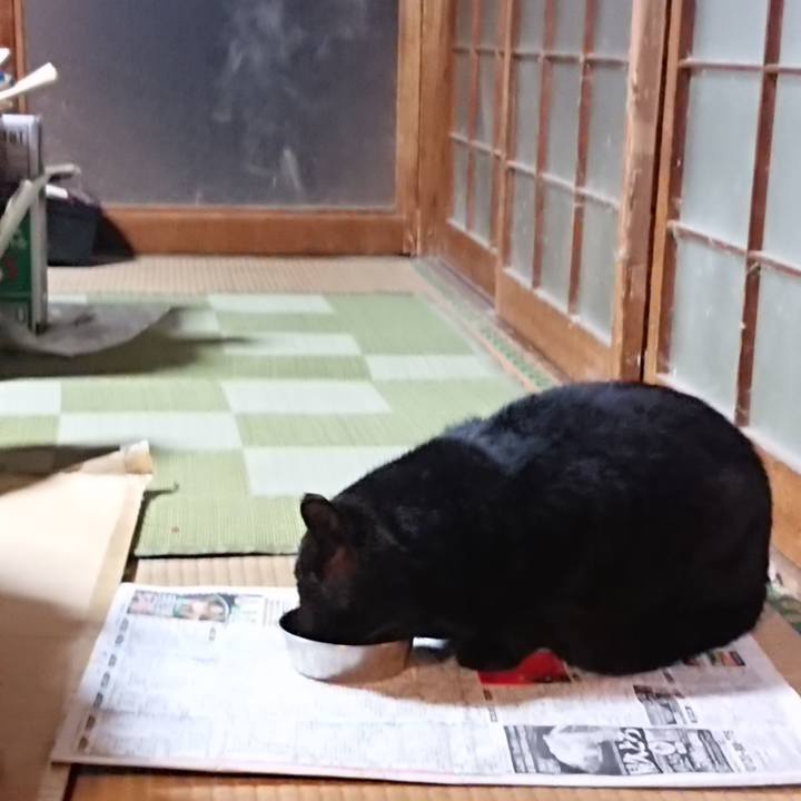 2175a448 a477 4e8c bf01 ff82ae84cabd 1614680660749