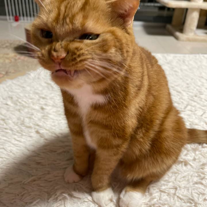 2175ad4a 3868 42f2 8a55 824e53a2df80 1667046652721