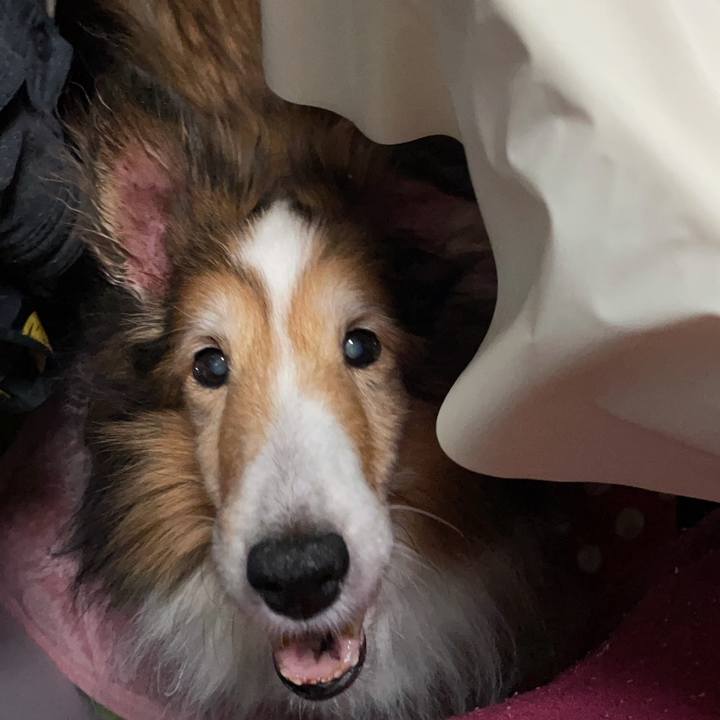 2175d395 4fb4 4517 8ff0 953e63f89f24 1744531736843