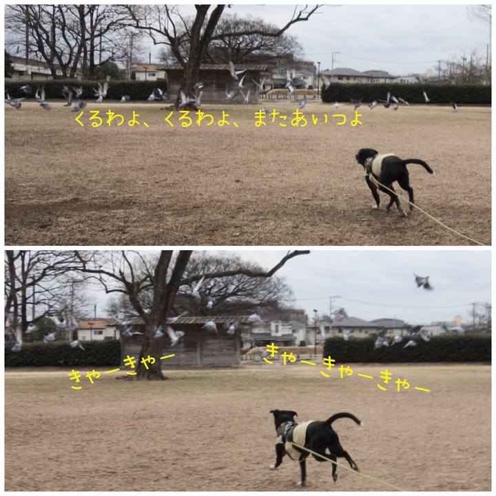 2175e687 5fb8 4533 bf78 0239bad9f86c 1644282601280