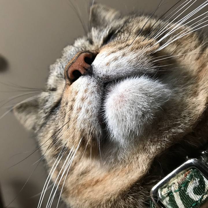 217643cd ca13 4f90 9015 3a6626c56f2f 1516513862486