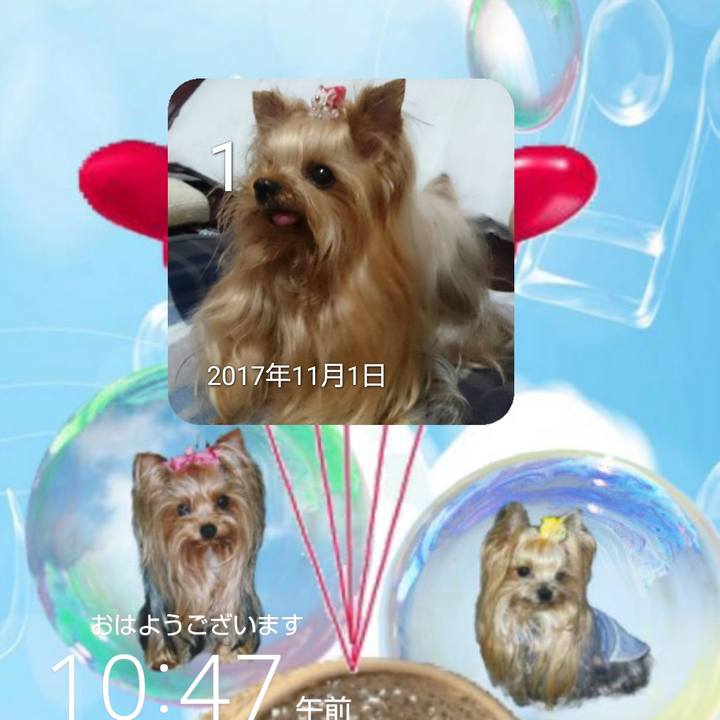 2176453f 2c96 48ab 9009 f2574f2a63a5 1635732156368