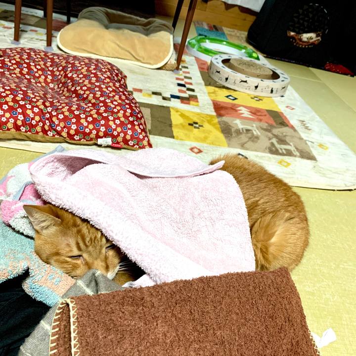 2176cc22 9eda 42ee 86e6 91243a3220fc 1582448810430