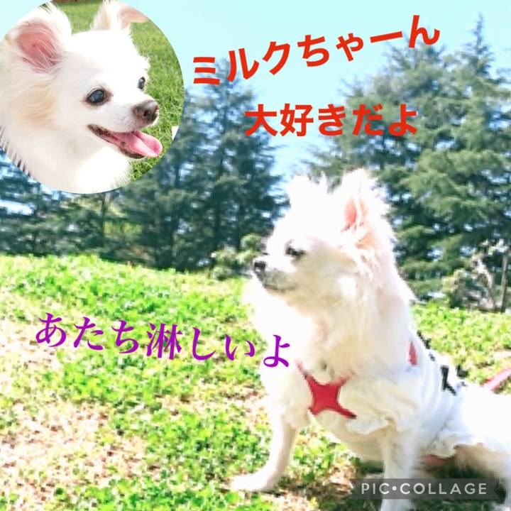 21774129 ce69 46df 889a e189cf066301 1622698754516