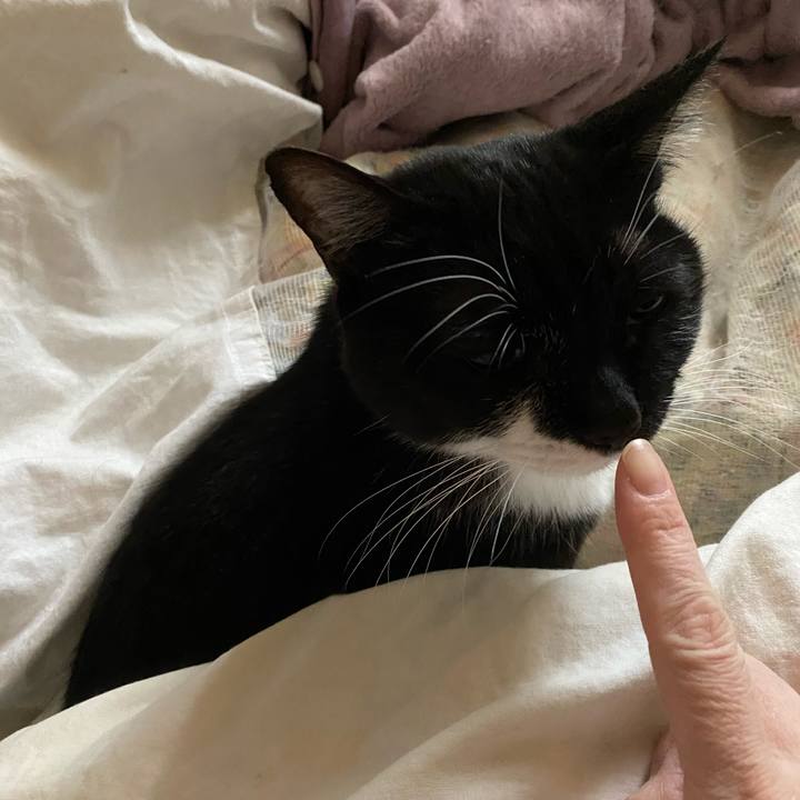 21774ebc 92d2 4563 b2aa c7f9bc717c72 1609592083595