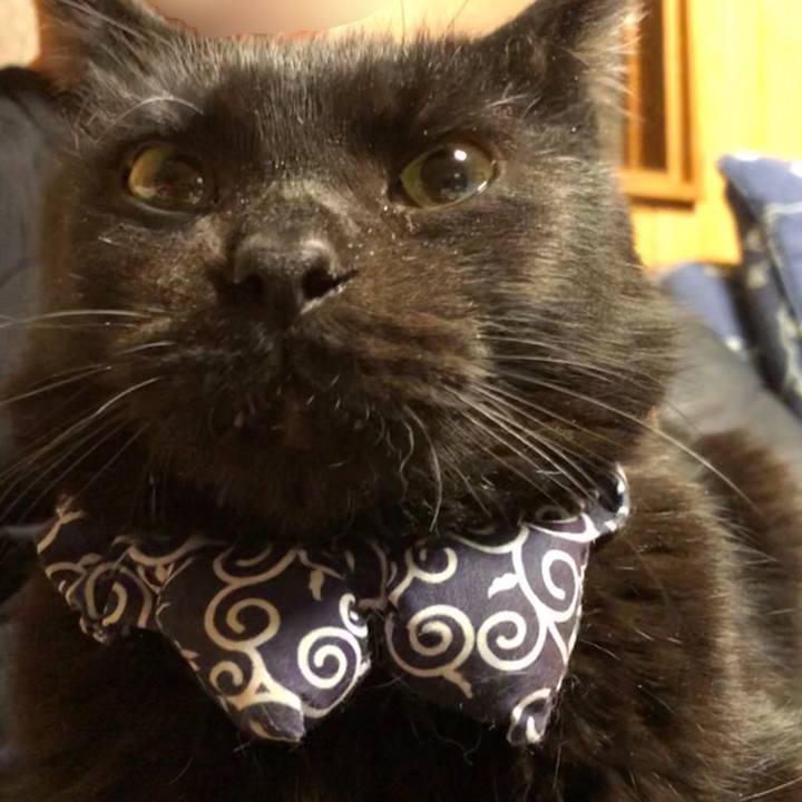 21778628 13e5 493f 8c0a e0401e814391 1578148312367