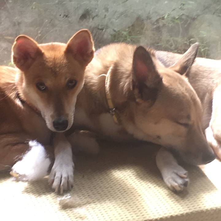 2177acf7 3afb 4578 8201 3dfe3d5431bc 1507637531953