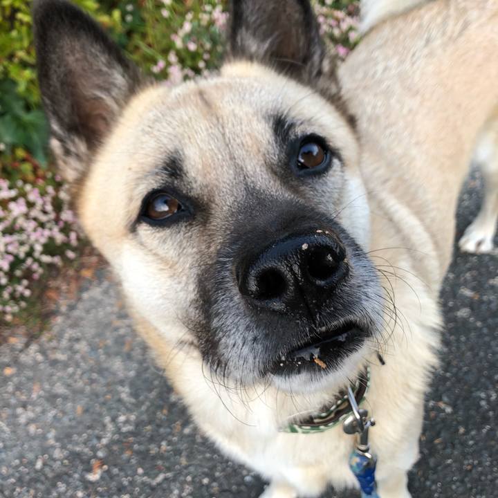 2177ae0f 35f2 4a82 96fb 8ab1c228c582 1606554343706