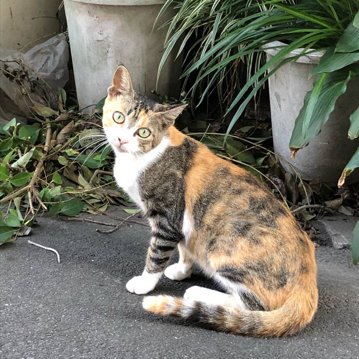 2177b16f dfde 42a5 95d8 c4d98b0952fc 1536145819366