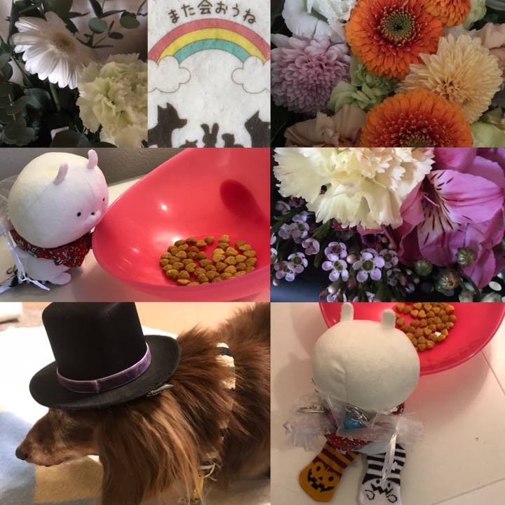 2177cb77 412b 4bb4 a387 aeeb394c8a6c 1603319987530