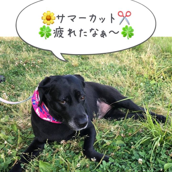 2177f56a 1214 4652 8356 b3b71395105e 1528014055141