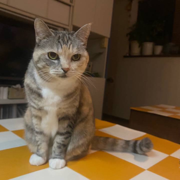 2177f752 54fe 4516 947d e5dda61f2dad 1705233234546