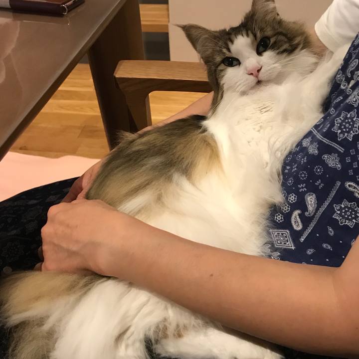 21780d64 5965 4f16 8439 91db51a4477e 1562502144973