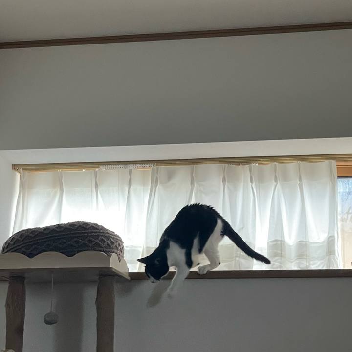 21780df9 2a7c 404a be2e b09be307e6bc 1697342307446