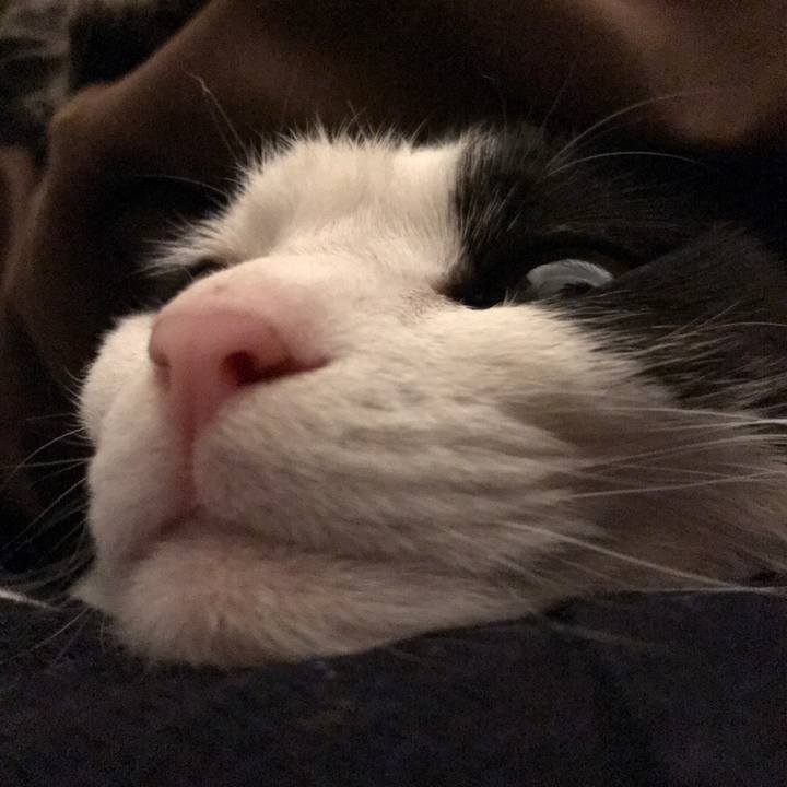 21782519 6055 474a 909e ea4608530f15 1524127860369