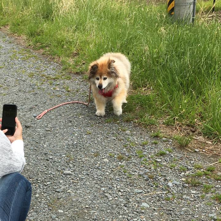 21787c8e af05 4aa7 8872 c5cb5c610050 1660028228006