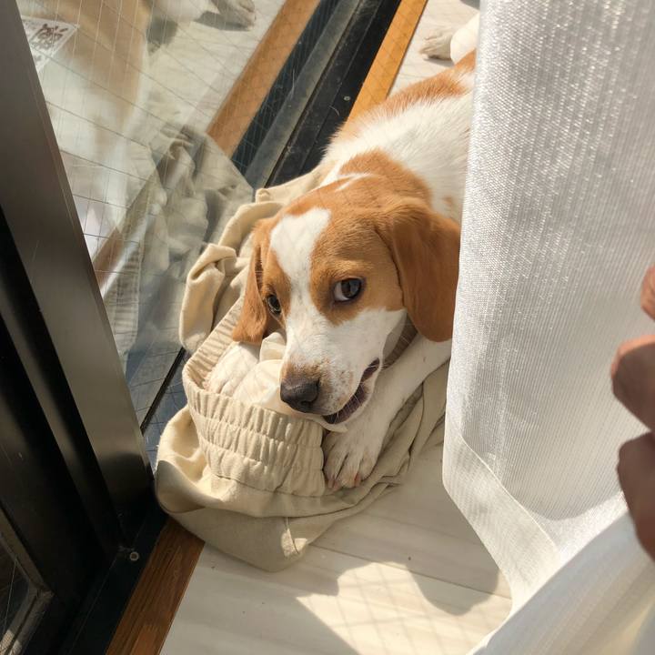 21787d8d 7691 45b0 a2b6 e79bdf97c3c0 1537310815189