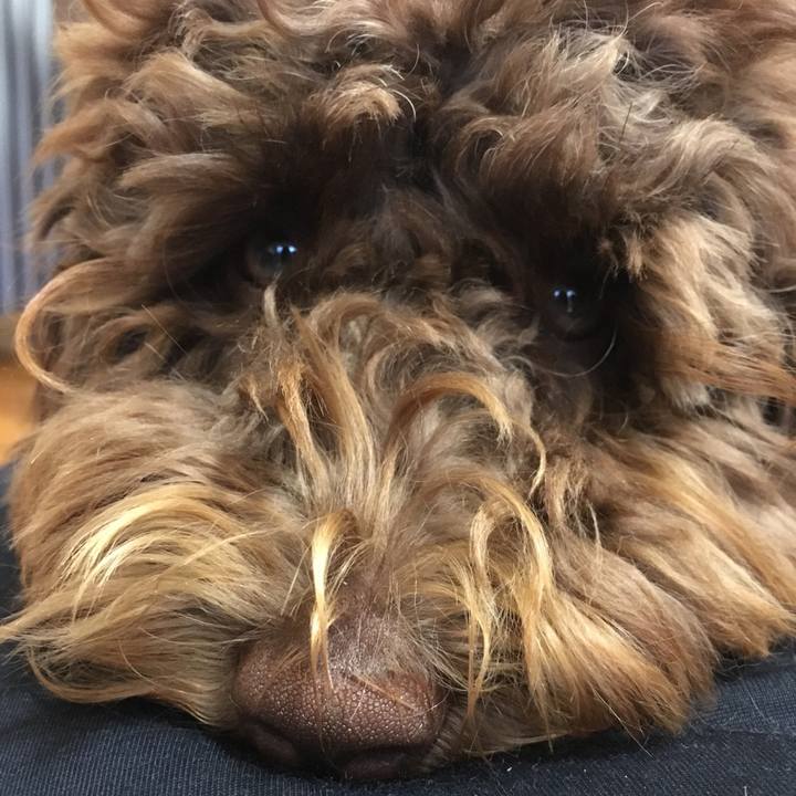 2178878e ca86 471d a267 90b52f91bf64 1556614376265