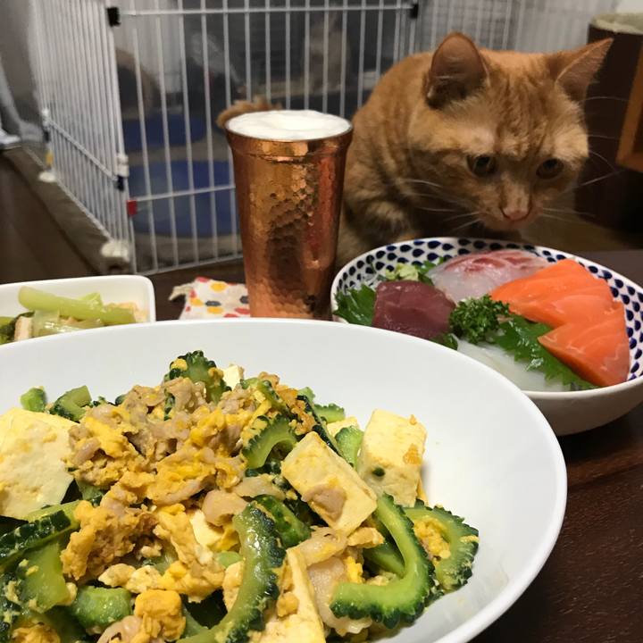 21789263 d273 41cb b080 8de8c6943ffa 1530625548570