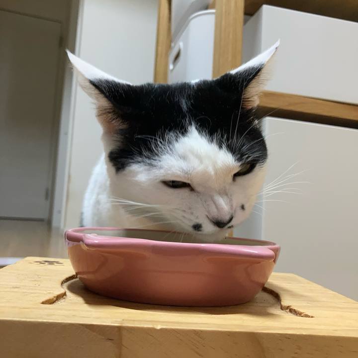 21789566 55e0 42e9 b1fe cc758a7e1ec5 1760127471124