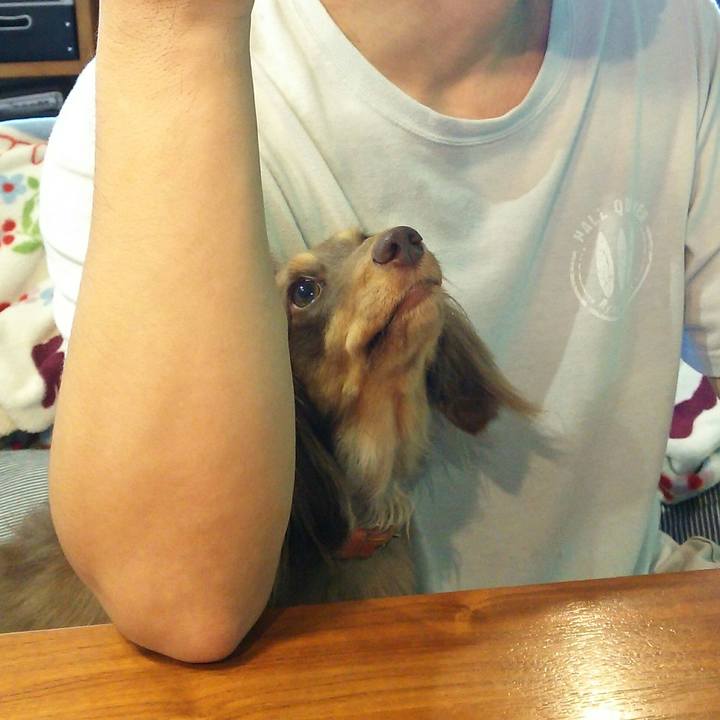 2178cc95 6d73 4ddd b515 b08c5abf40d9 1540018315892