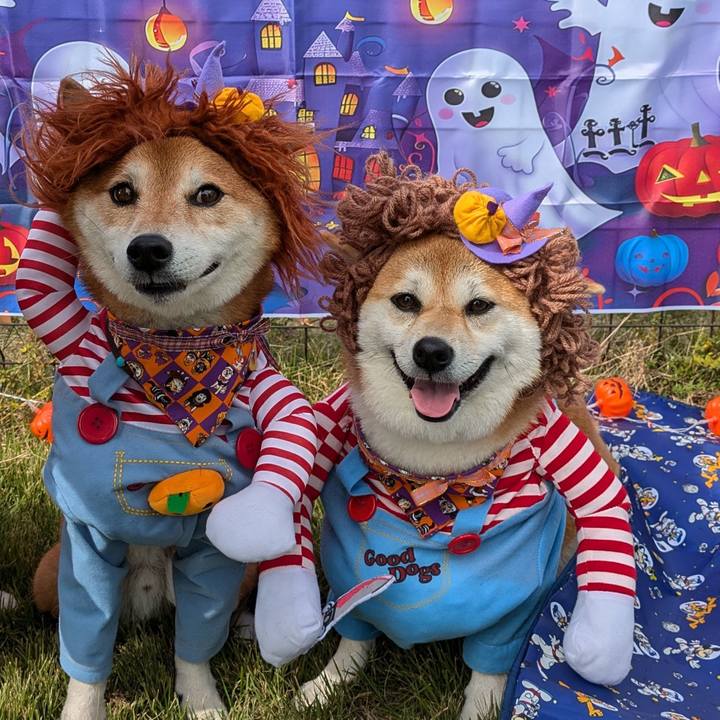 21790817 55dc 4dd1 b807 a07b06db3513 1730456816914