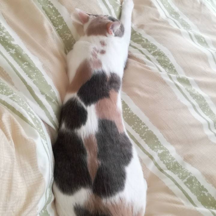 2179638d 41f4 4d12 b5ab b767e9e2c9ee 1522022906205