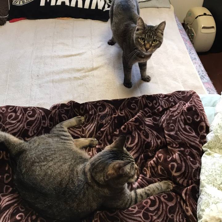 21796480 db7c 4752 a5d8 b1bdeb5bfdc0 1558392678875