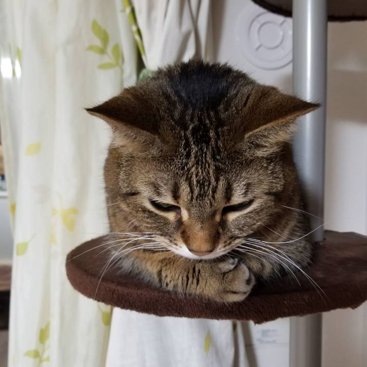 21796c4b 9d10 4e41 9b65 d4ba90fa90f2 1608757962697