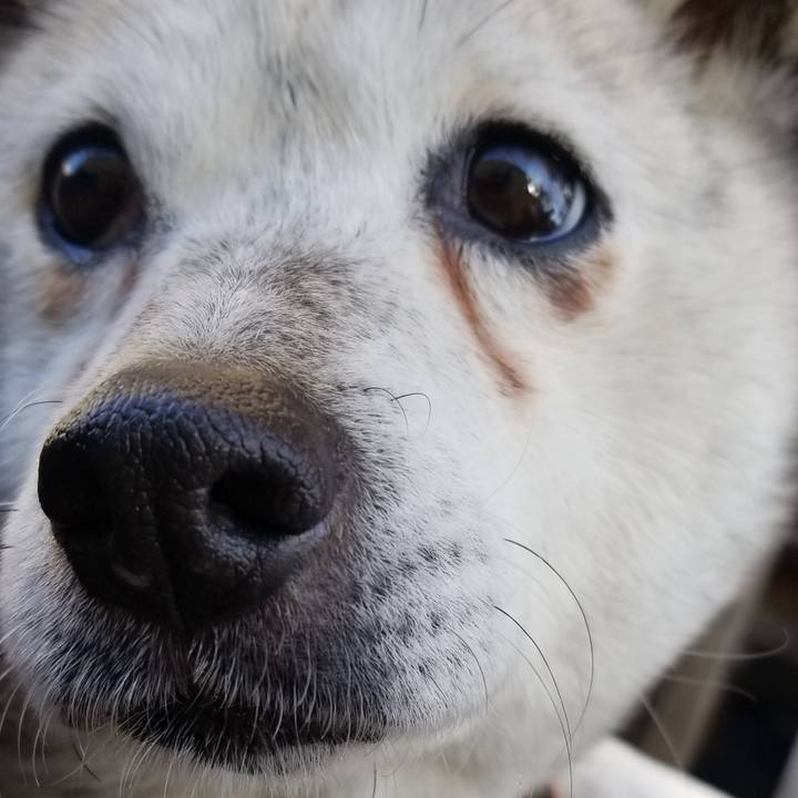 21796d20 0d30 48eb 9581 7bf99f702bb5 1645943970250