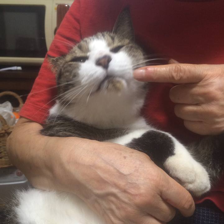 217975ba 733e 43ac 8322 04cea2a76eeb 1566828531388