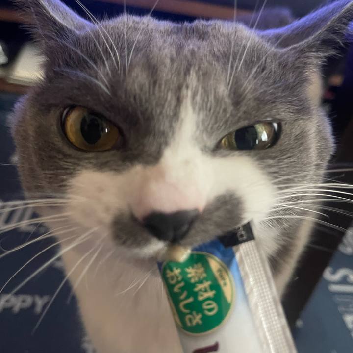 217993f8 8833 4d34 a00d 7ca2f8c9f09c 1699859558157