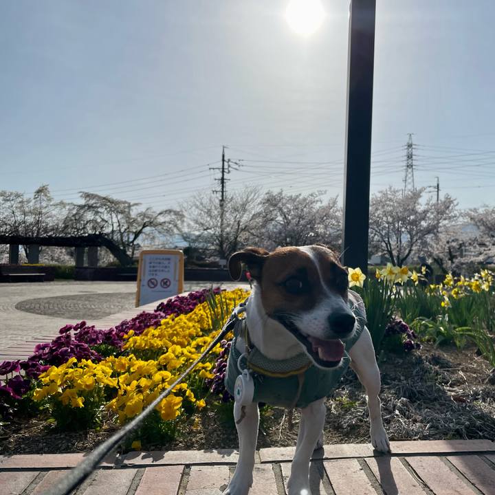 2179ae4c 2da2 4cc3 8efc b5c55dcbb11c 1649762970098