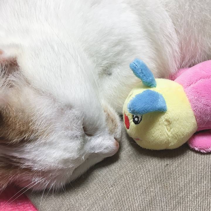 2179b3f3 a3dd 4f61 93bf a8a9a00ea18a 1572300164135