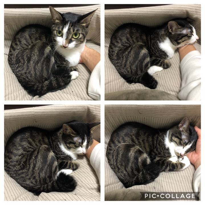 2179b40b bd8b 4d30 9d56 6afae14f7363 1573390518753