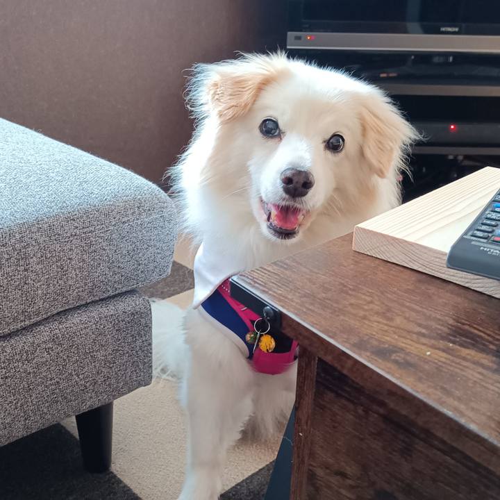 2179b50a 296c 4e22 a5cc 678f0f3d5546 1718055926166